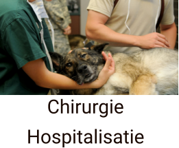 Chirurgie  Hospitalisatie