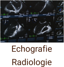 Echografie  Radiologie