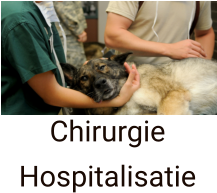 Chirurgie  Hospitalisatie